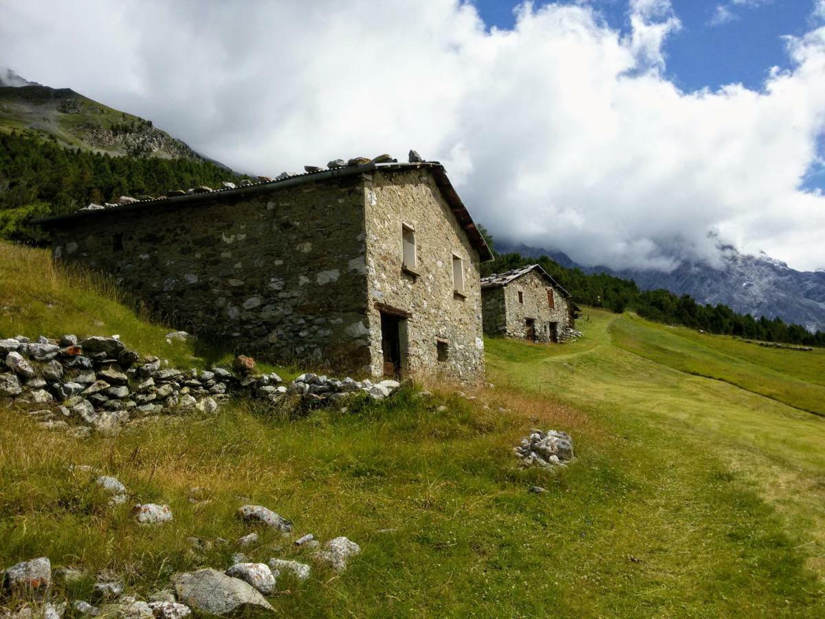 Casa Zebrusius - Zebrusius'S App Leilighet Valfurva Eksteriør bilde